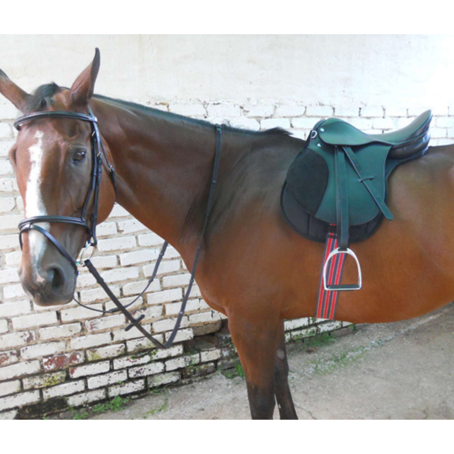 Saddle Starter Kit Solo Upgrade